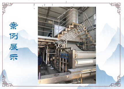 生化污泥干化案例