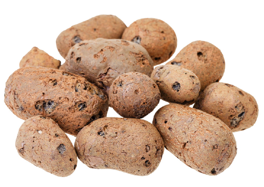 污泥浑身是个宝,看你如何处理!